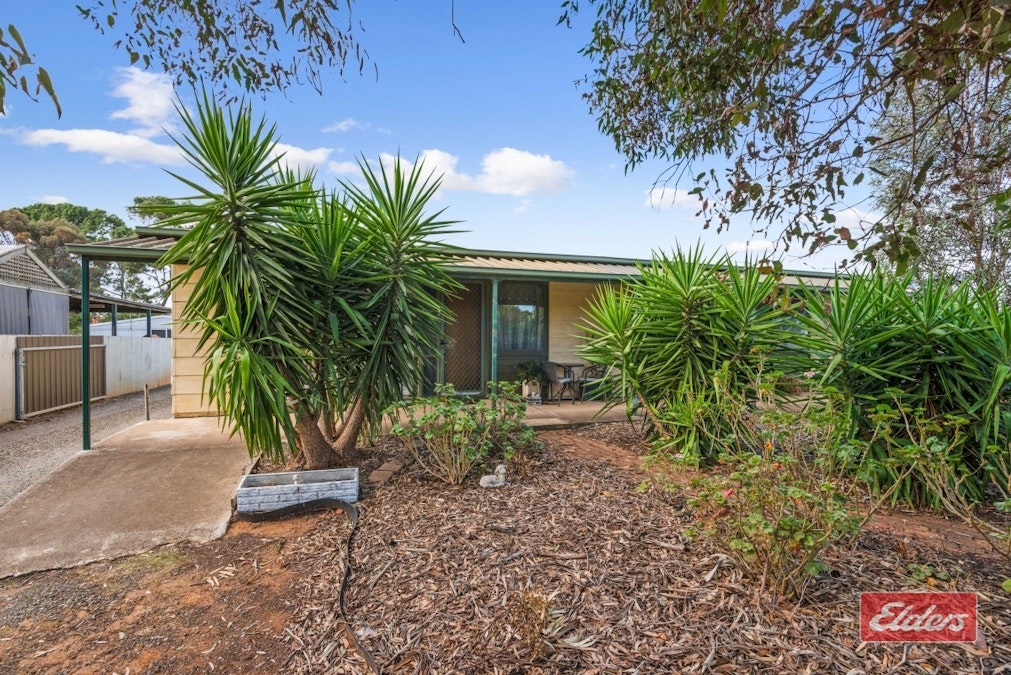 22 Carmel Street, Mallala, SA, 5502 - Image 3