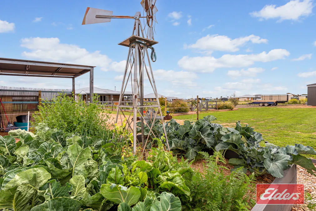 7 Dorothy Close, Wasleys, SA, 5400 - Image 32