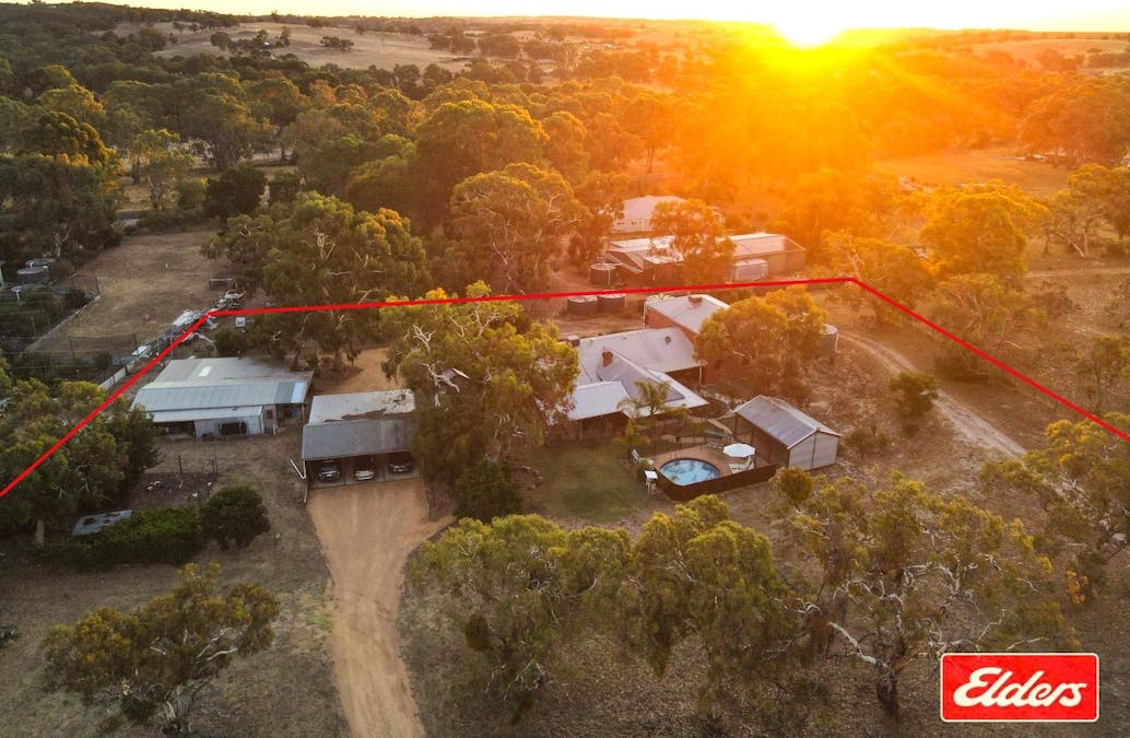 290 Williamstown Road, Cockatoo Valley, SA, 5351 - Image 1