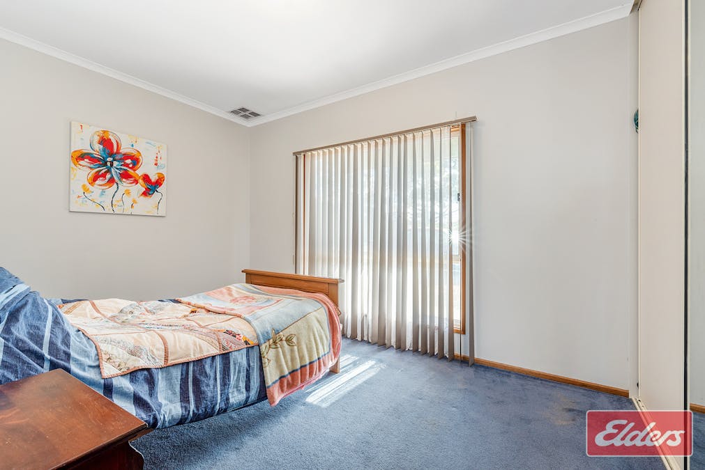 12 Borrow Street, Freeling, SA, 5372 - Image 13