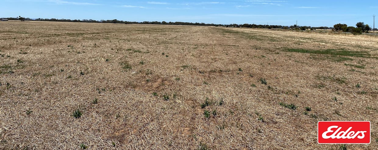 391/Lot 391 Port Wakefield Road, Lower Light, SA, 5501 - Image 4