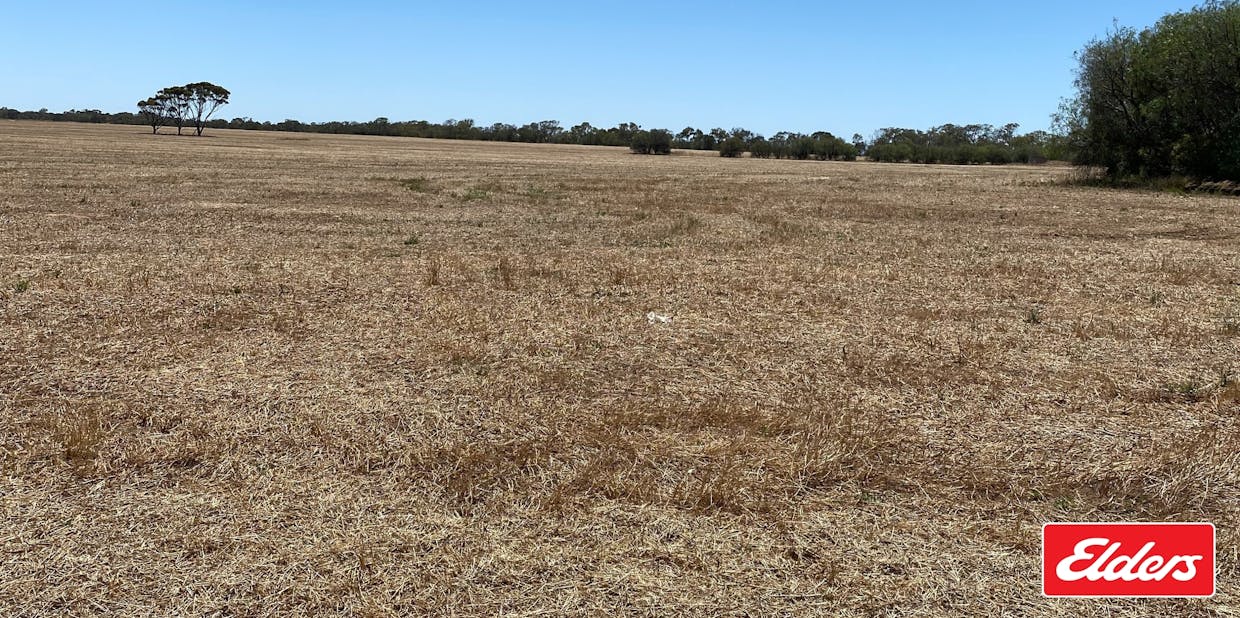 391/Lot 391 Port Wakefield Road, Lower Light, SA, 5501 - Image 5