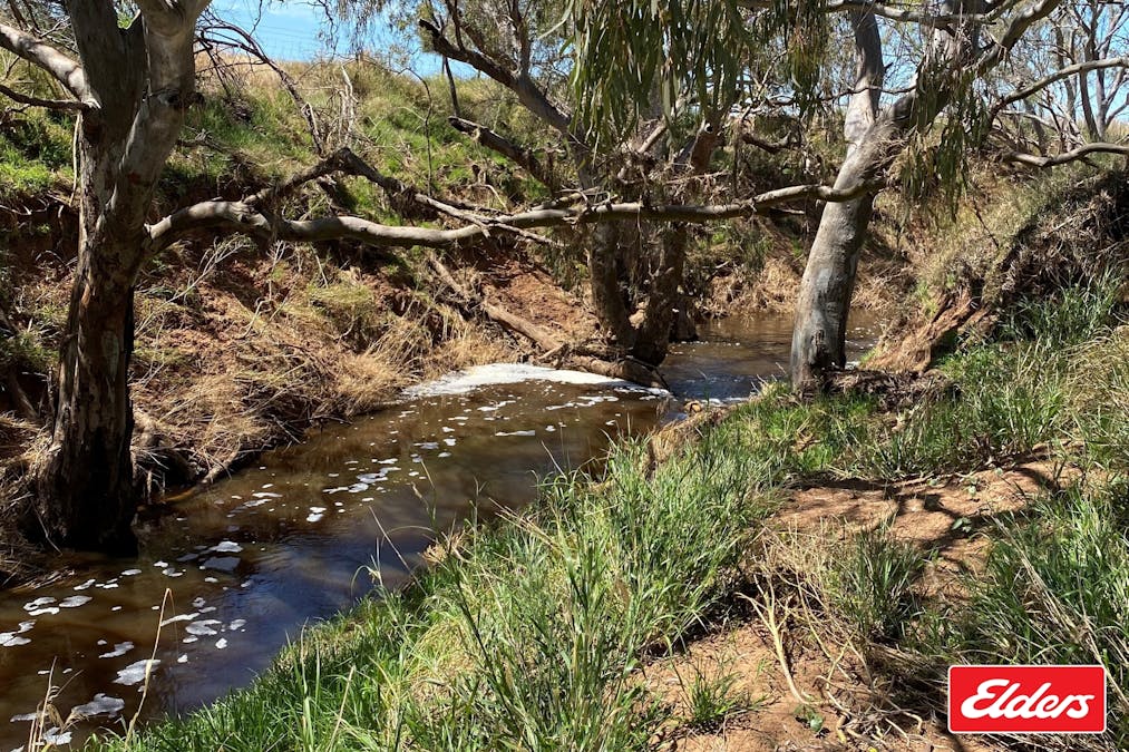 391/Lot 391 Port Wakefield Road, Lower Light, SA, 5501 - Image 8