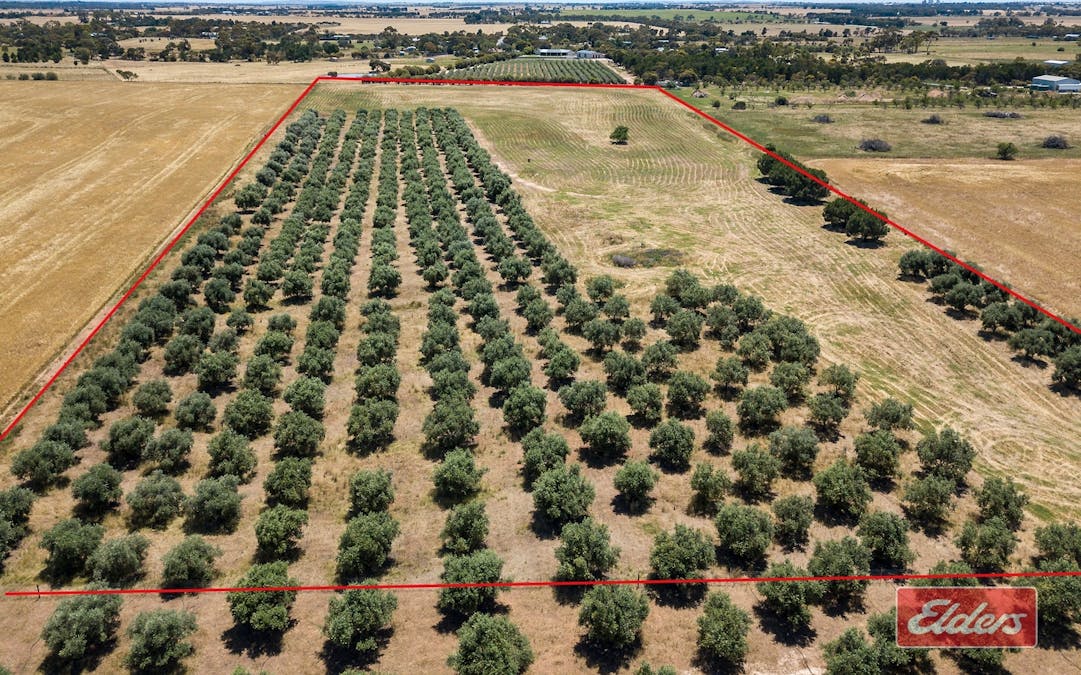 Lot 32 (216) Parkers Road, Gawler Belt, SA, 5118 - Image 14
