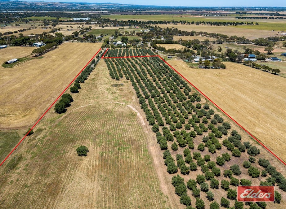 Lot 32 (216) Parkers Road, Gawler Belt, SA, 5118 - Image 16