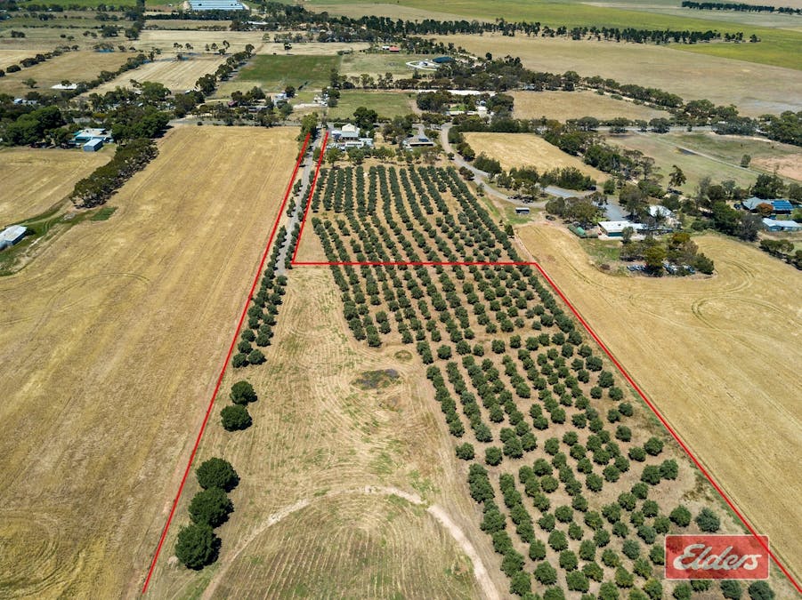 Lot 32 (216) Parkers Road, Gawler Belt, SA, 5118 - Image 15