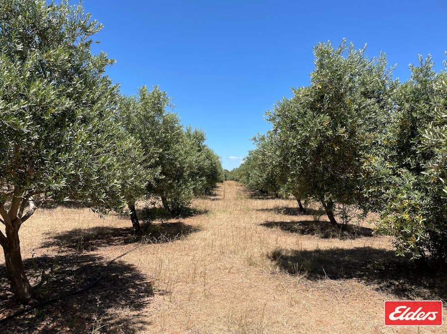 Lot 32 (216) Parkers Road, Gawler Belt, SA, 5118 - Image 5