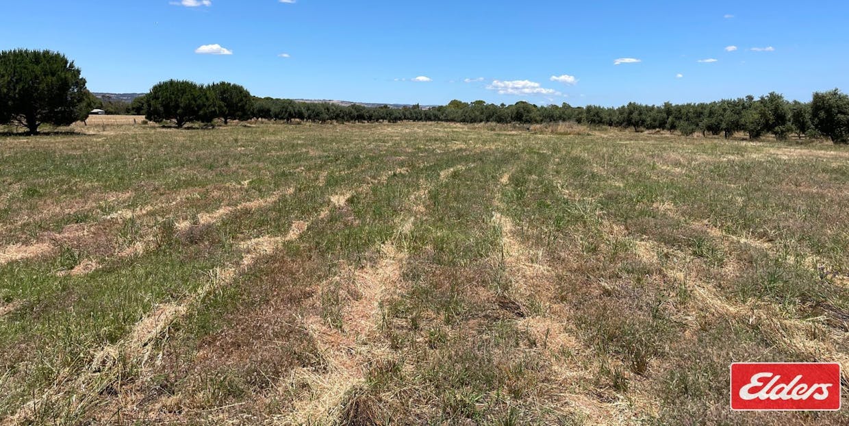 Lot 32 (216) Parkers Road, Gawler Belt, SA, 5118 - Image 4