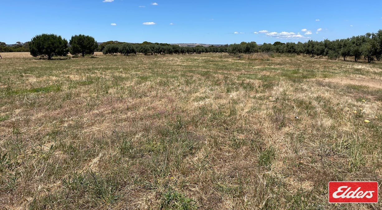 Lot 32 (216) Parkers Road, Gawler Belt, SA, 5118 - Image 7