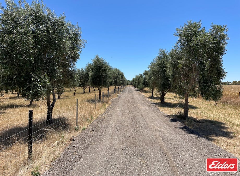 Lot 32 (216) Parkers Road, Gawler Belt, SA, 5118 - Image 3