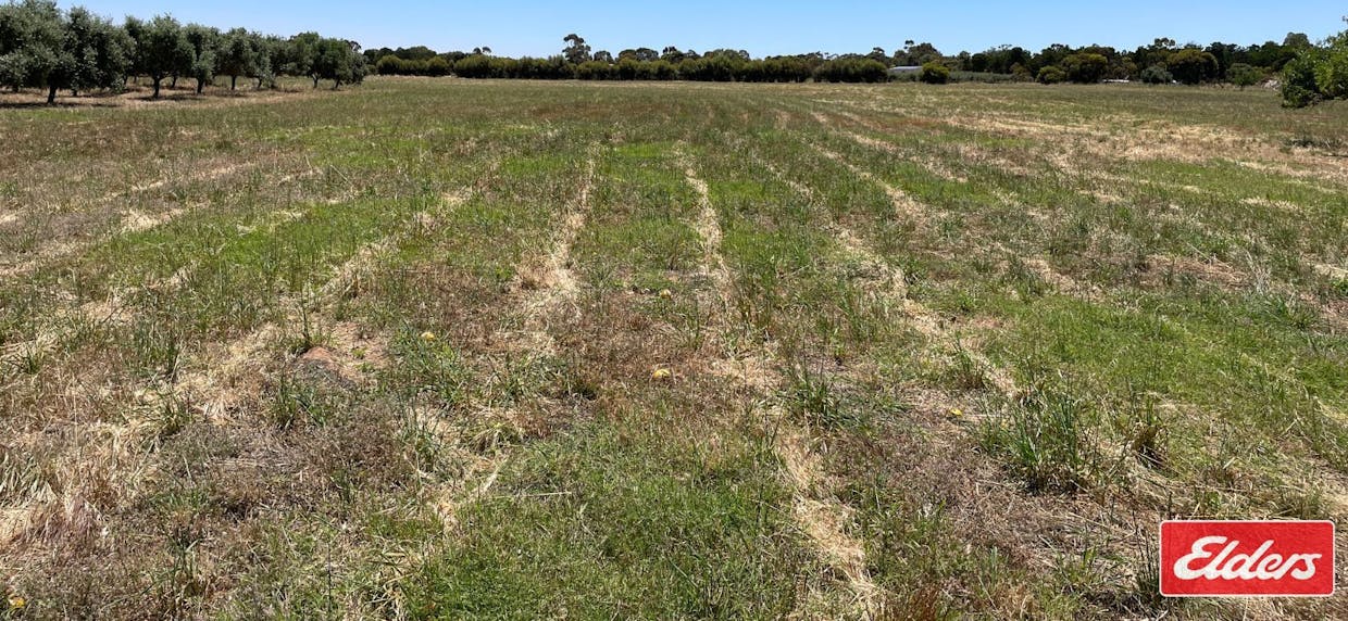 Lot 32 (216) Parkers Road, Gawler Belt, SA, 5118 - Image 8