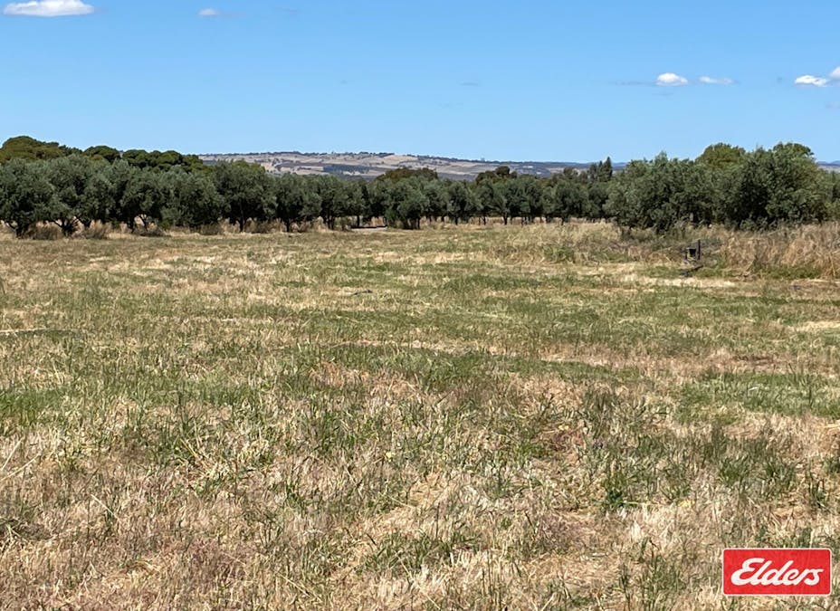 Lot 32 (216) Parkers Road, Gawler Belt, SA, 5118 - Image 9