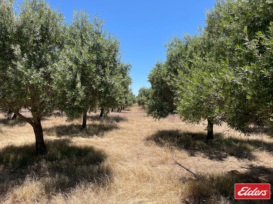Lot 32 (216) Parkers Road, Gawler Belt, SA, 5118 - Image 12