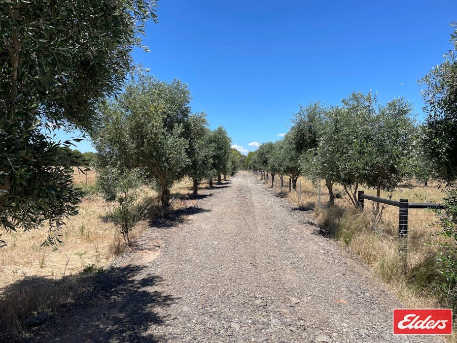 Lot 32 (216) Parkers Road, Gawler Belt, SA, 5118 - Image 13
