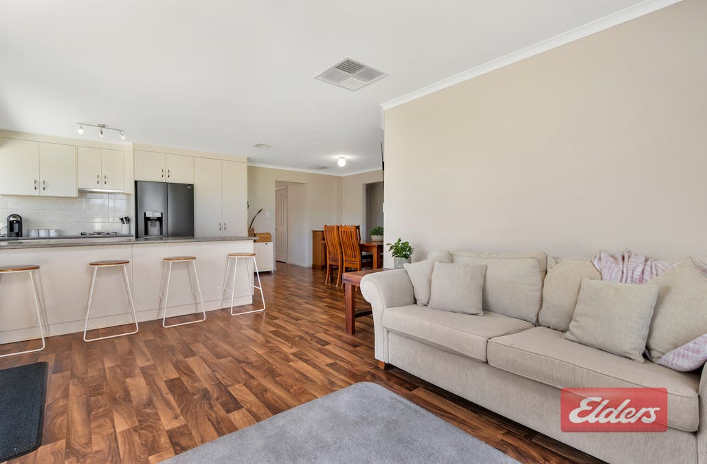 14 Roche Street, Freeling, SA, 5372 - Image 13