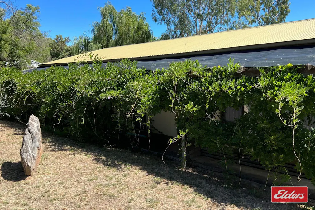 22 Wild Street, Williamstown, SA, 5351 - Image 3