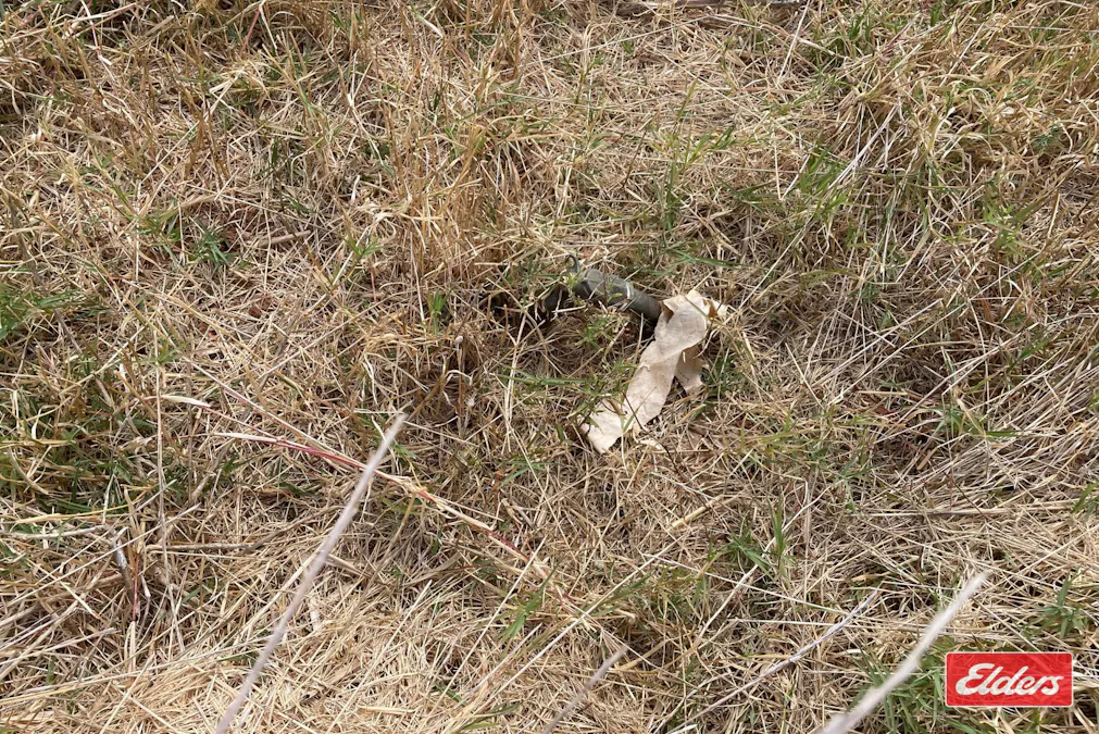 35 Gawler River Road, Lewiston, SA, 5501 - Image 7