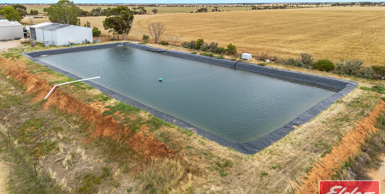 546 Davies Road, Mallala, SA, 5502 - Image 14