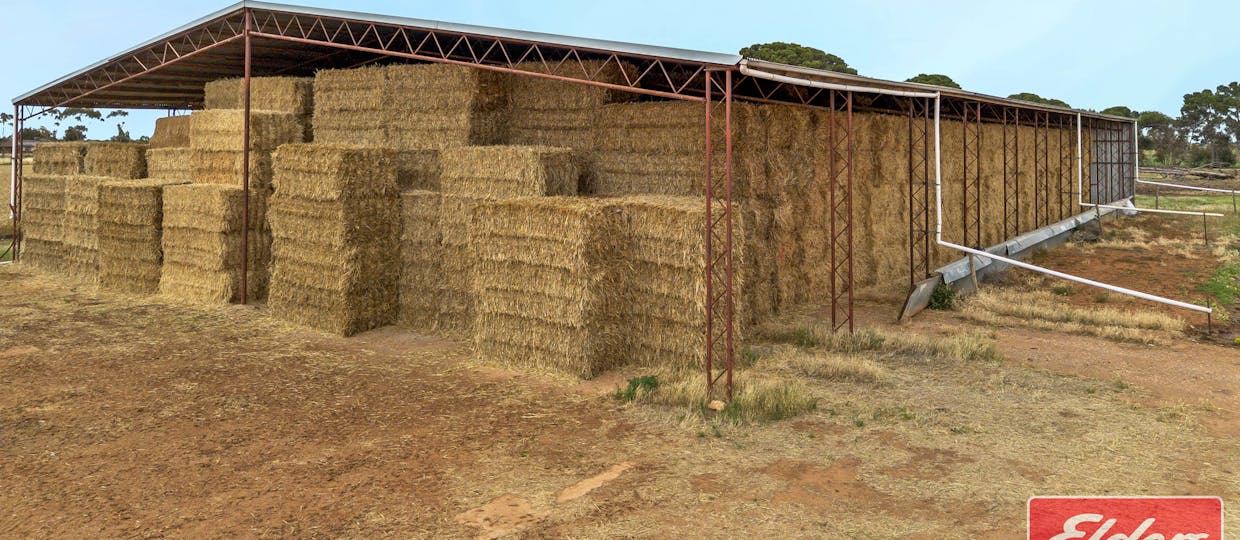 546 Davies Road, Mallala, SA, 5502 - Image 12