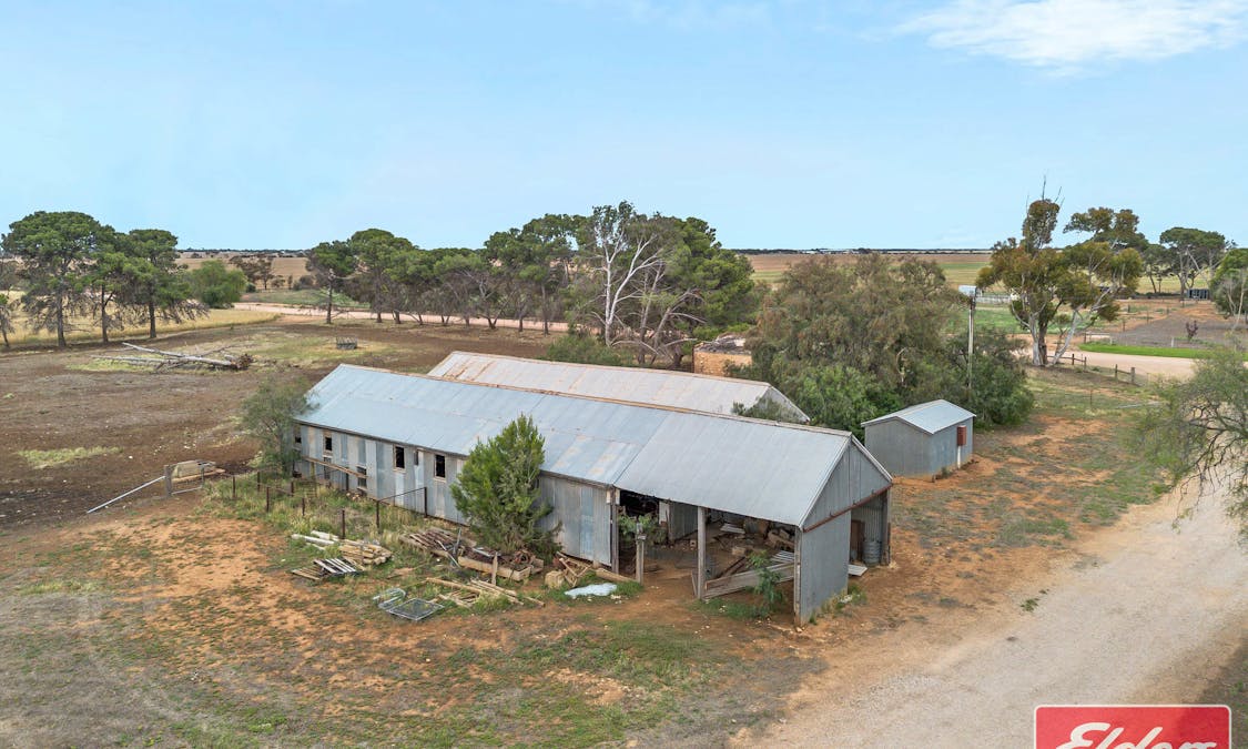 546 Davies Road, Mallala, SA, 5502 - Image 9