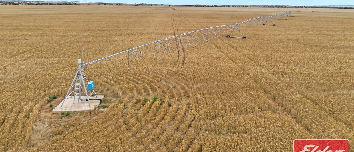 546 Davies Road, Mallala, SA, 5502 - Image 28