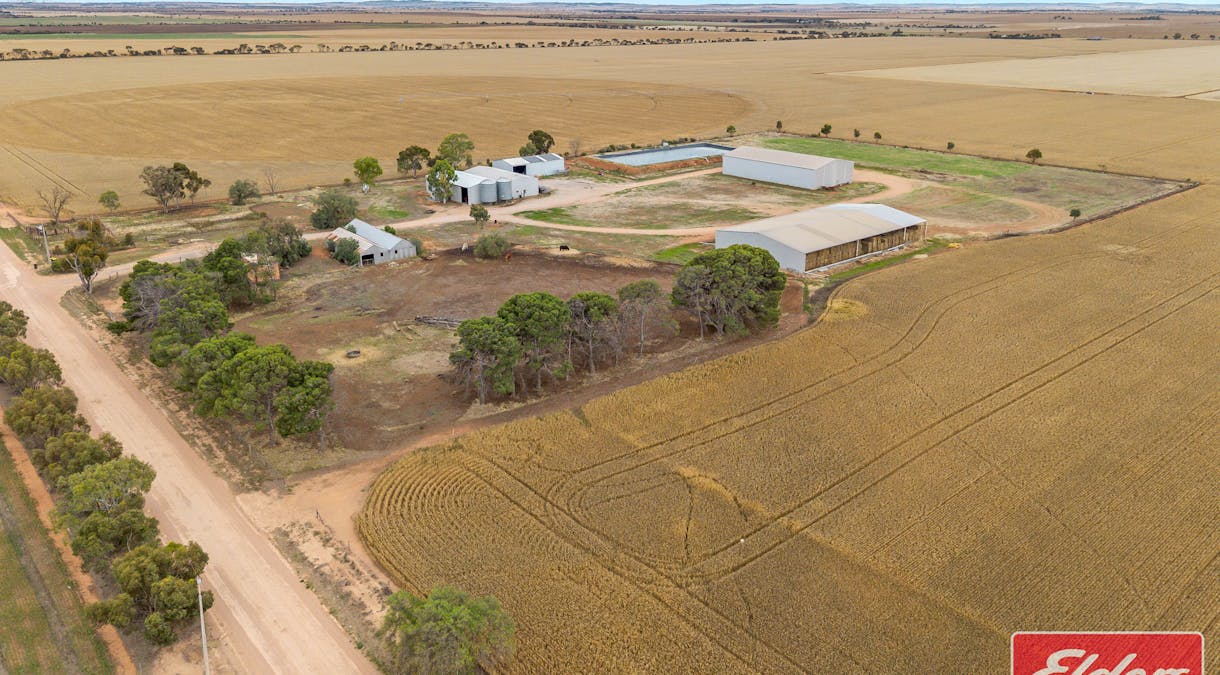 546 Davies Road, Mallala, SA, 5502 - Image 4