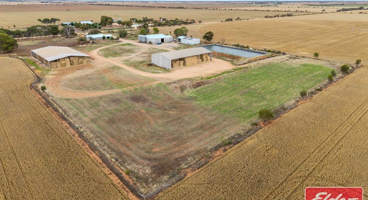 546 Davies Road, Mallala, SA, 5502 - Image 1