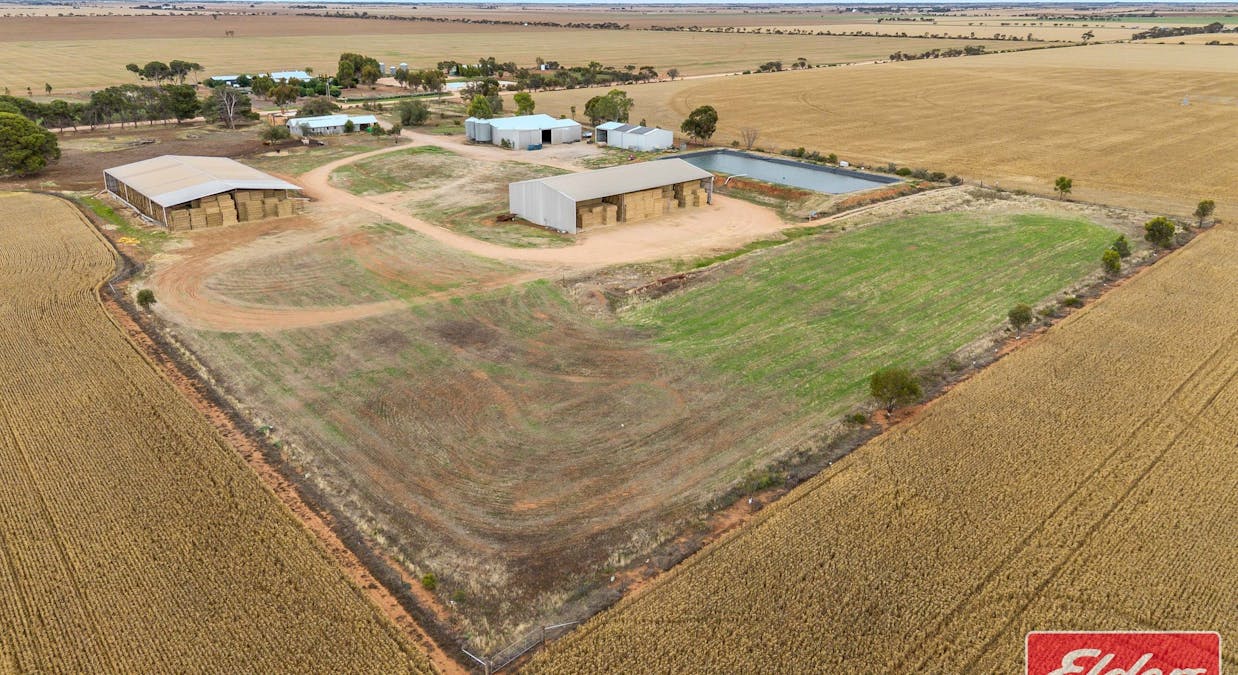 546 Davies Road, Mallala, SA, 5502 - Image 1