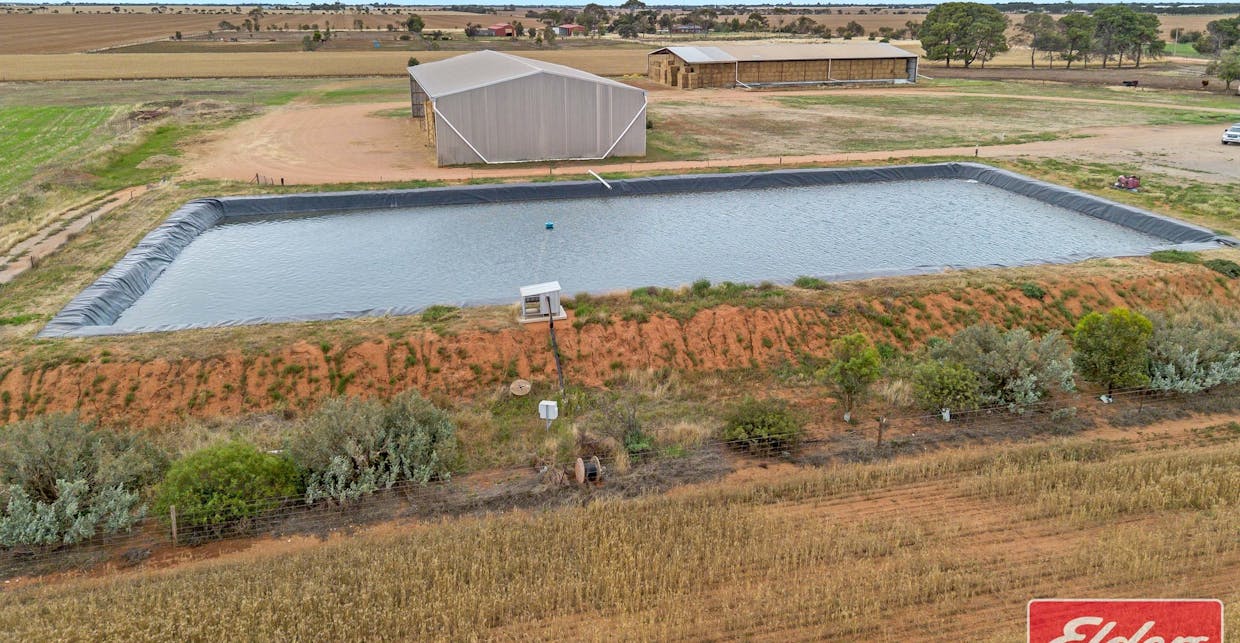 546 Davies Road, Mallala, SA, 5502 - Image 16