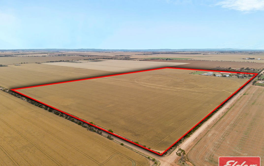 546 Davies Road, Mallala, SA, 5502 - Image 2