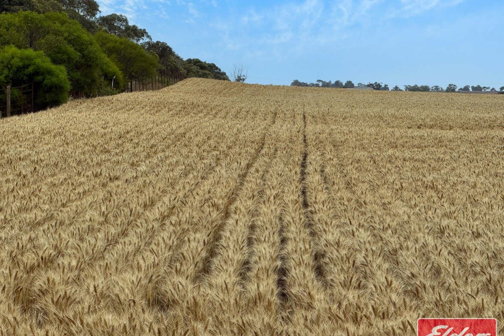 546 Davies Road, Mallala, SA, 5502 - Image 30