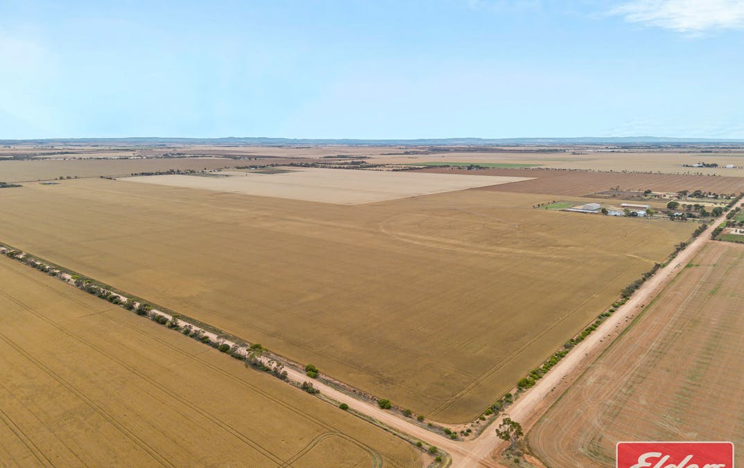 546 Davies Road, Mallala, SA, 5502 - Image 31