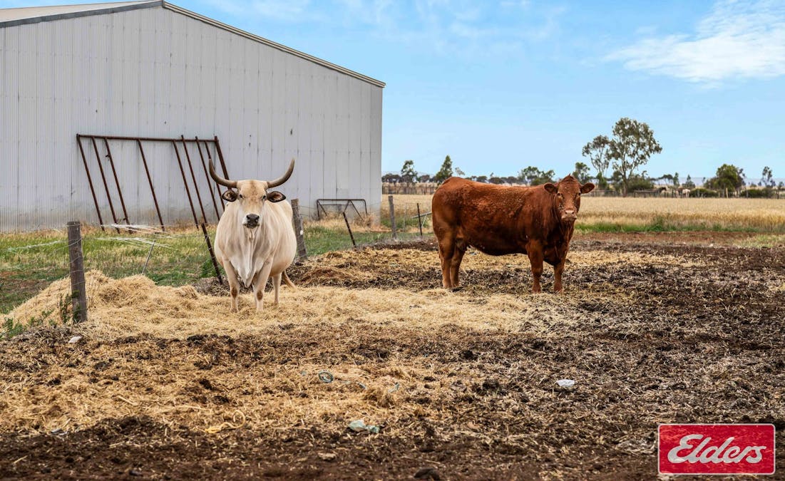 546 Davies Road, Mallala, SA, 5502 - Image 32