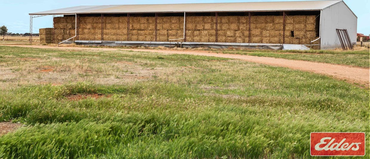 546 Davies Road, Mallala, SA, 5502 - Image 34