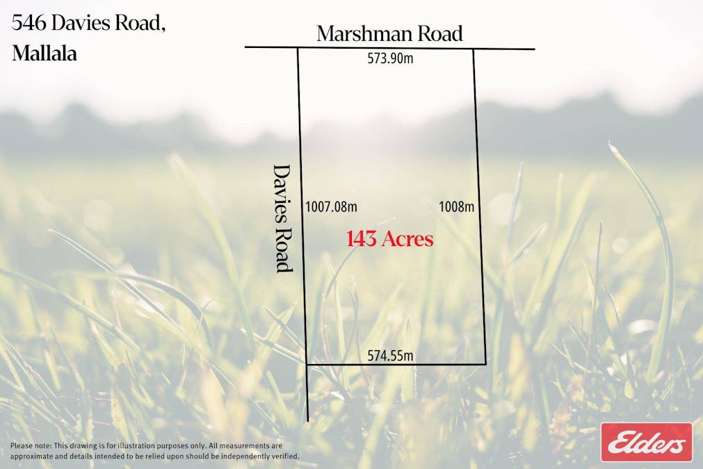 546 Davies Road, Mallala, SA, 5502 - Floorplan 2