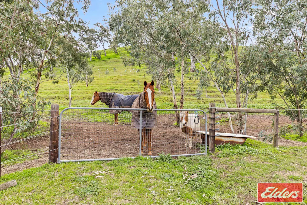 110 Sugar Loaf Road, Williamstown, SA, 5351 - Image 31