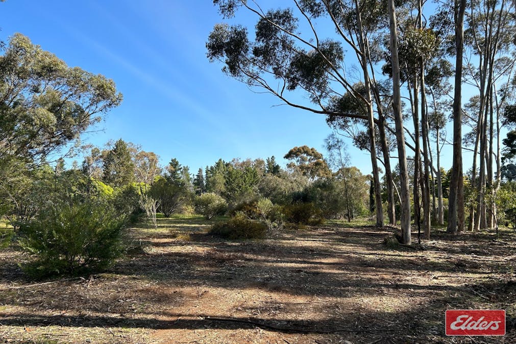 Lot 7 Alexander Murray Road, Williamstown, SA, 5351 - Image 5