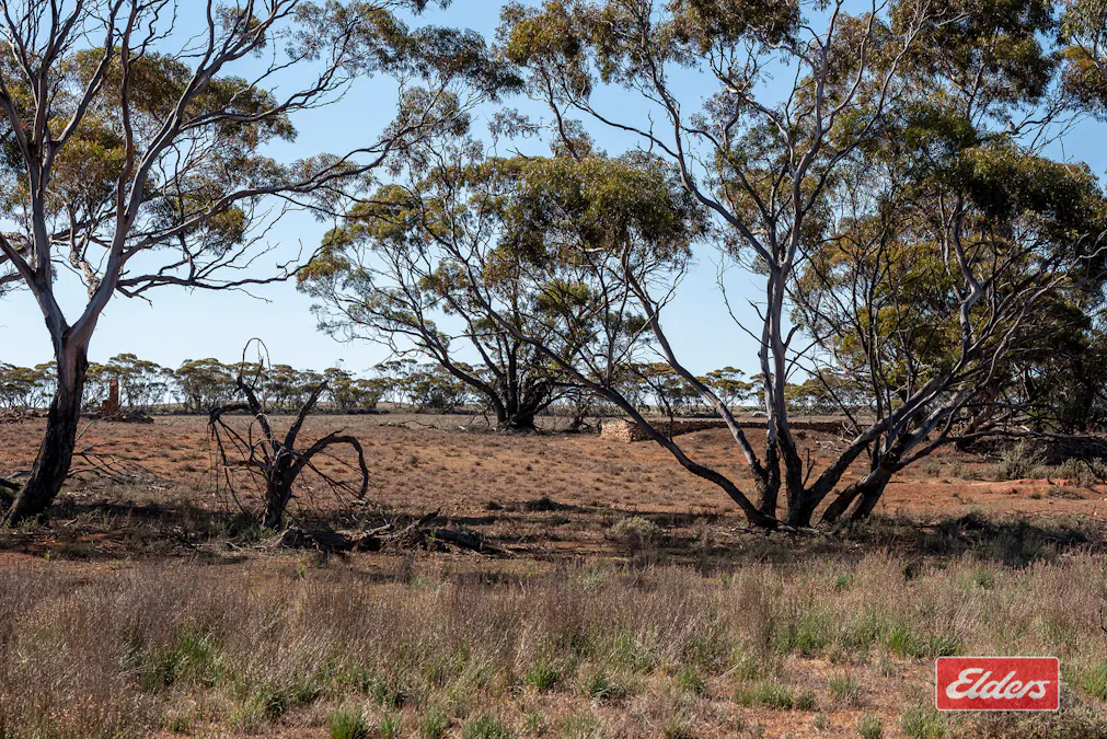 Sec 288 Stock Route Road, Sutherlands, SA, 5374 - Image 7
