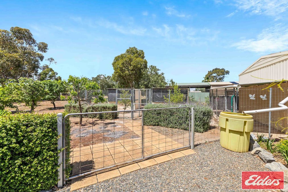 9 Twartz Road, Roseworthy, SA, 5371 - Image 26