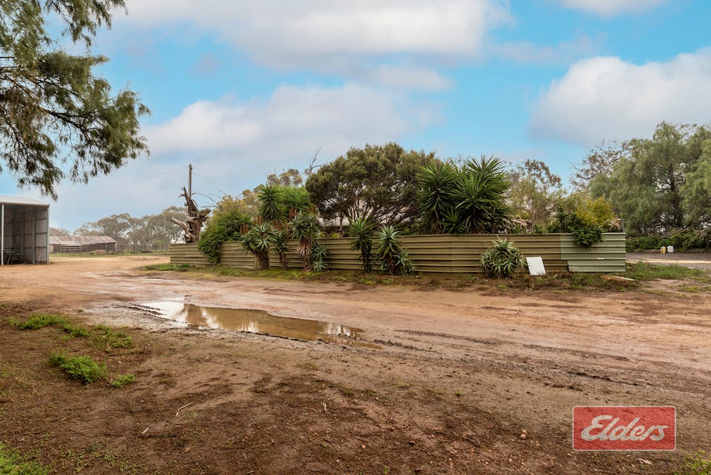 341 Devon Road, Lower Light, SA, 5501 - Image 12