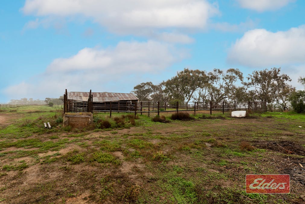 341 Devon Road, Lower Light, SA, 5501 - Image 24