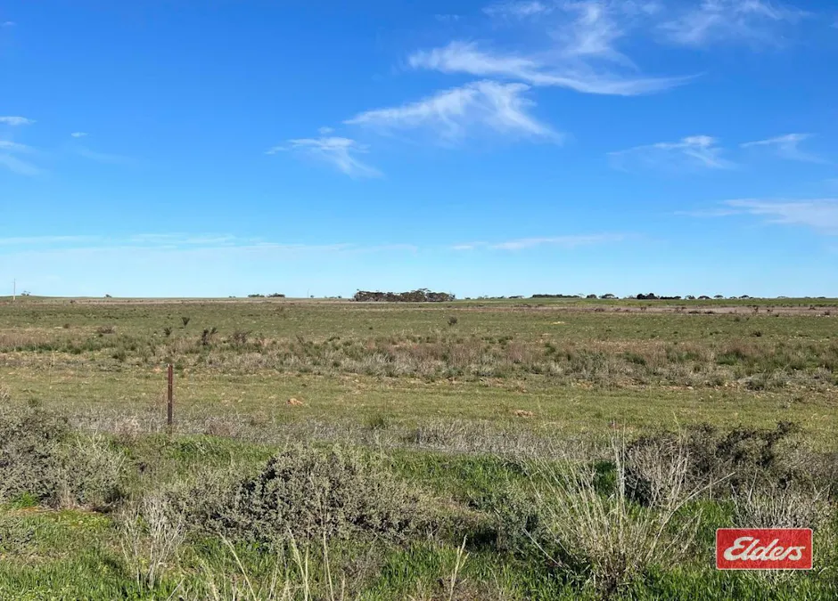 976 Racecourse Road, Balaklava, SA, 5461 - Image 14