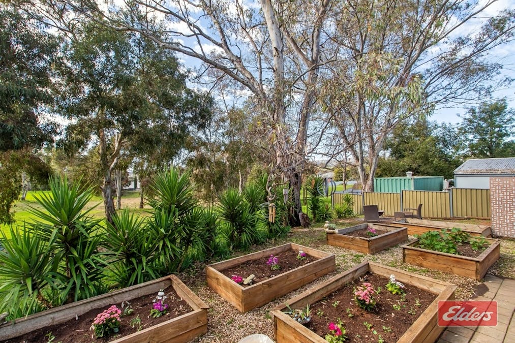 7A Lord Lynedoch Street, Lyndoch, SA, 5351 - Image 23
