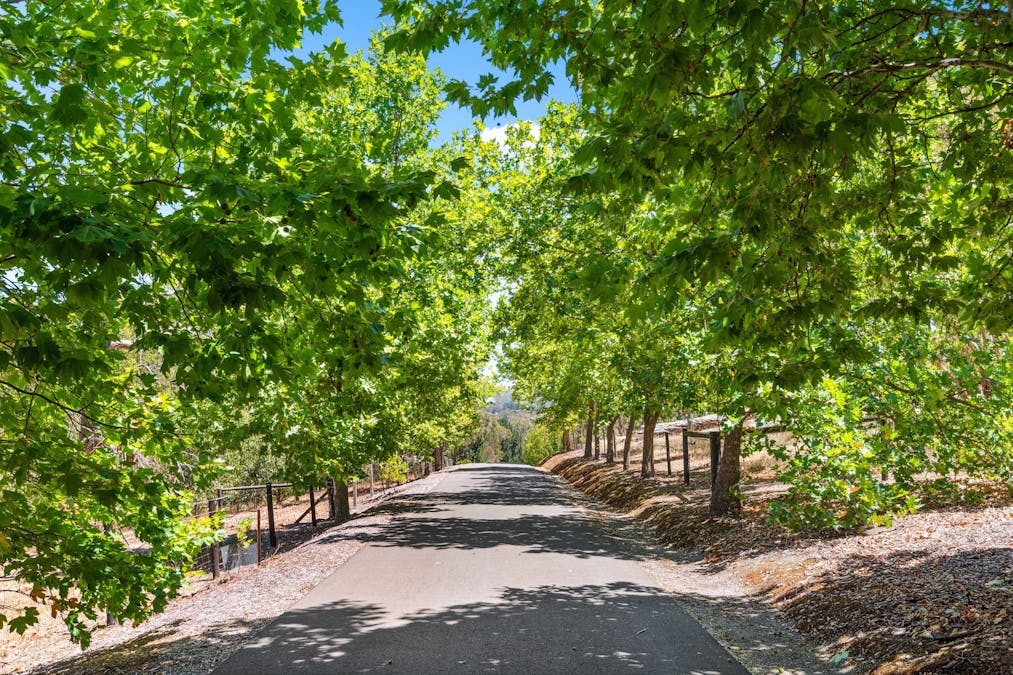 54A  Osborn Road, Kersbrook, SA, 5231 - Image 24