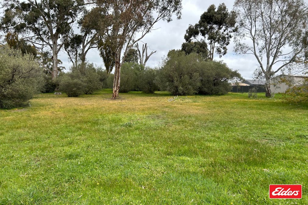 Lot 101 Church Street, Williamstown, SA, 5351 - Image 1