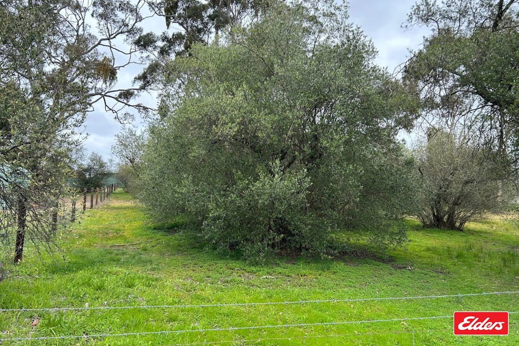 Lot 101 Church Street, Williamstown, SA, 5351 - Image 4