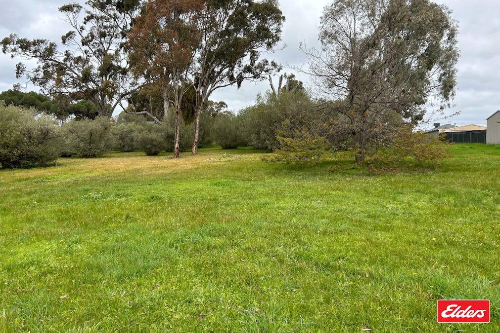 Lot 101 Church Street, Williamstown, SA, 5351 - Image 2