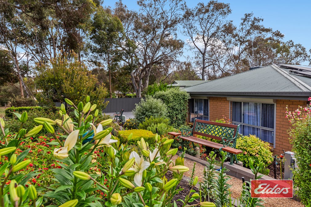 5 Lord Lynedoch Street, Lyndoch, SA, 5351 - Image 3