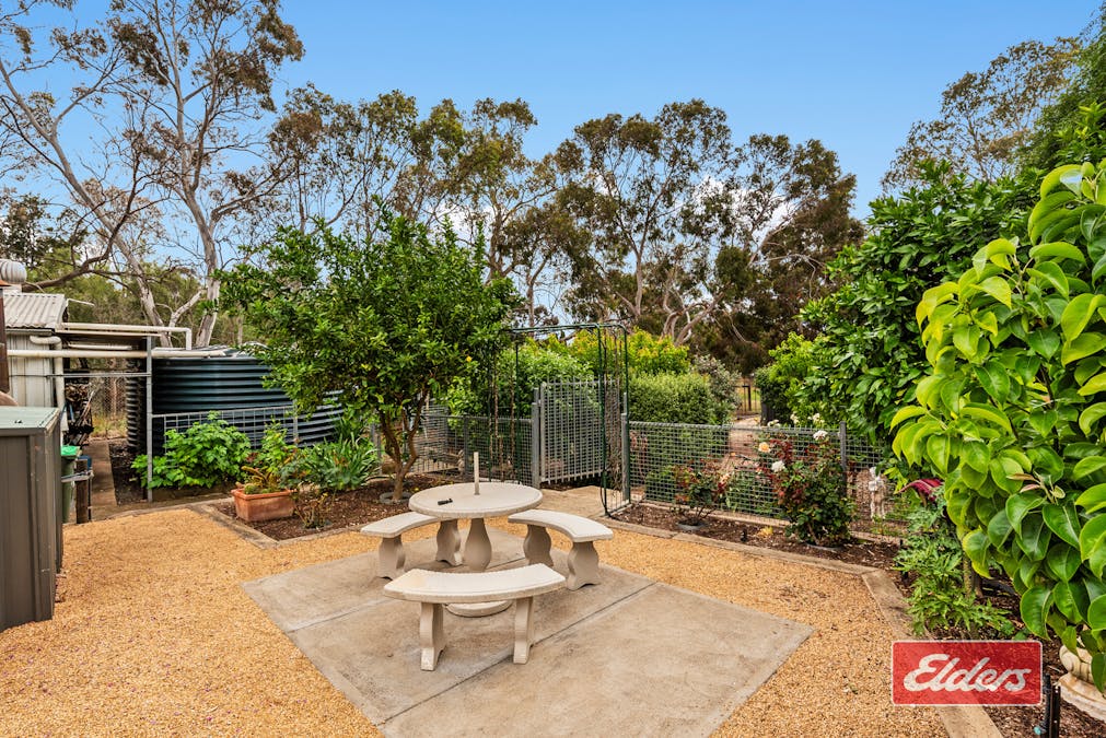 5 Lord Lynedoch Street, Lyndoch, SA, 5351 - Image 33