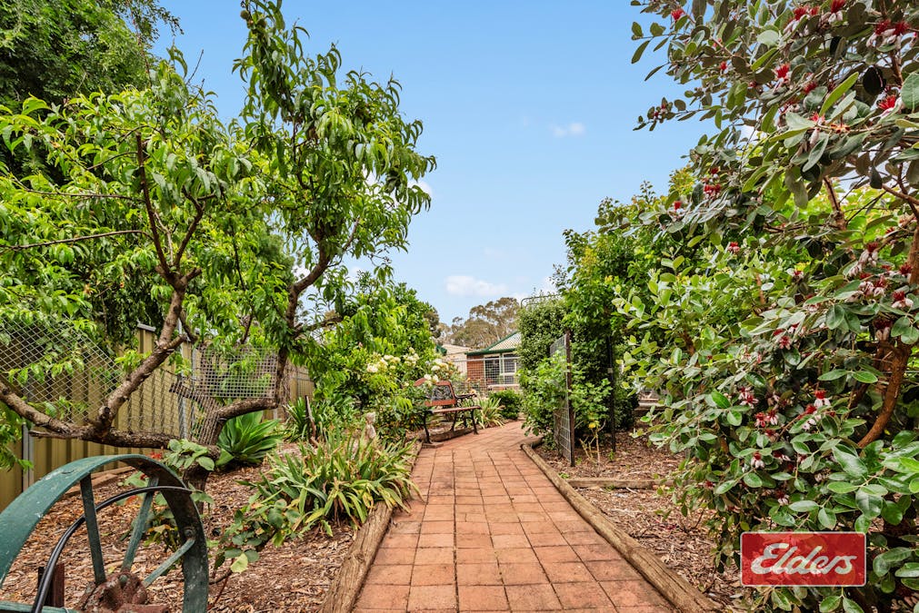 5 Lord Lynedoch Street, Lyndoch, SA, 5351 - Image 34